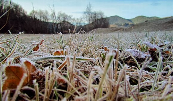 Guvernul a aprobat despagubiri in sectorul vegetal pentru pagubebele produse de fenomene meteo in perioada ianuarie-august 2014